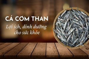 cá cơm than 1